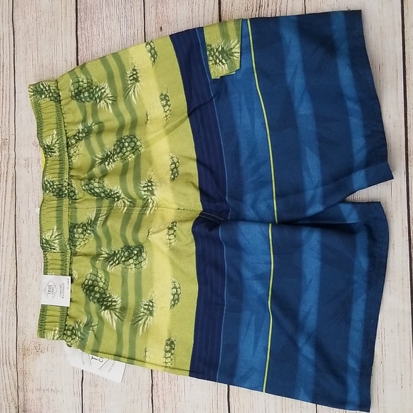 New True Craft Swim Trunks - Picture 3 of 9